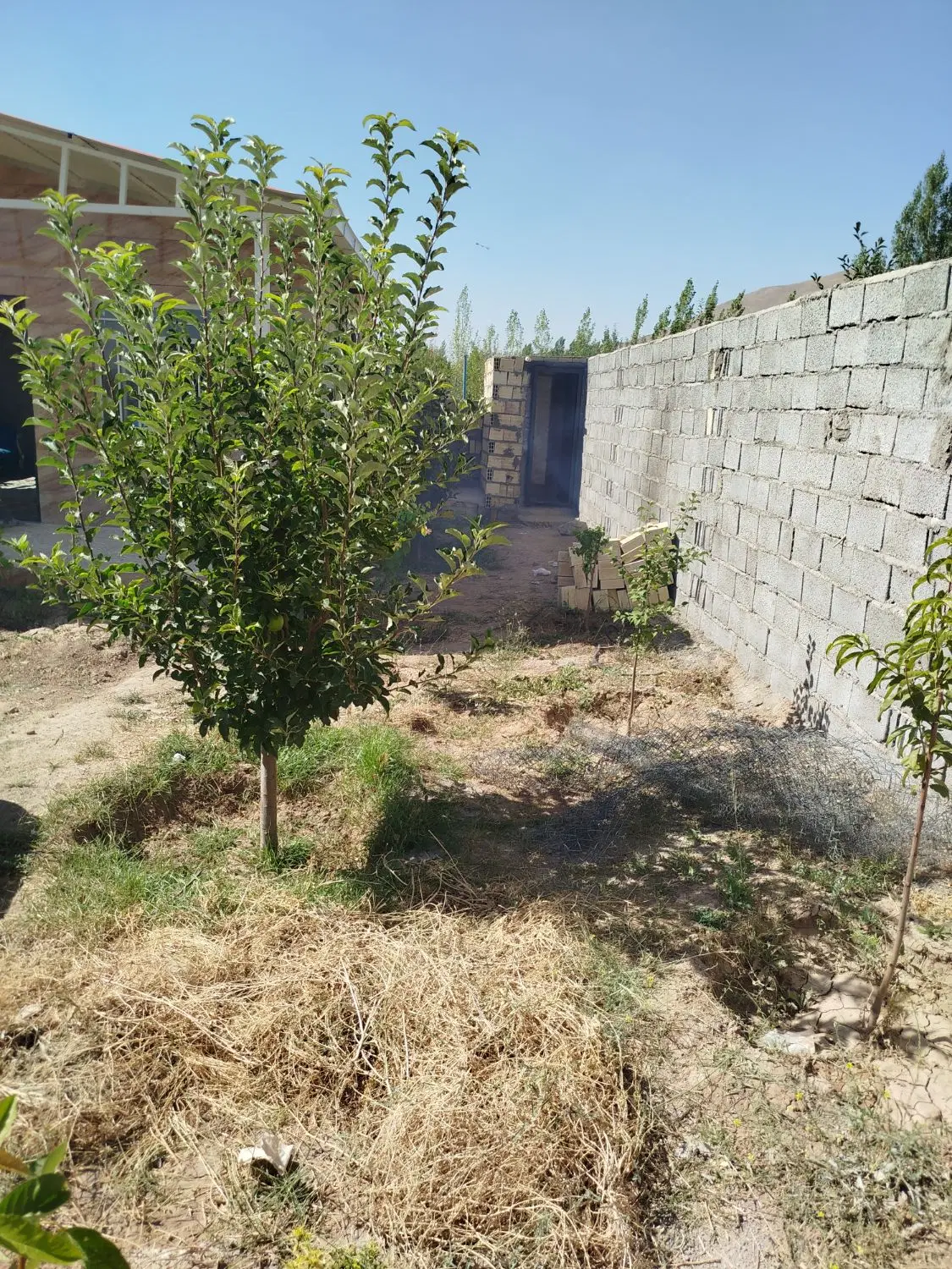 باغ ویلای نقلی دراسپیران