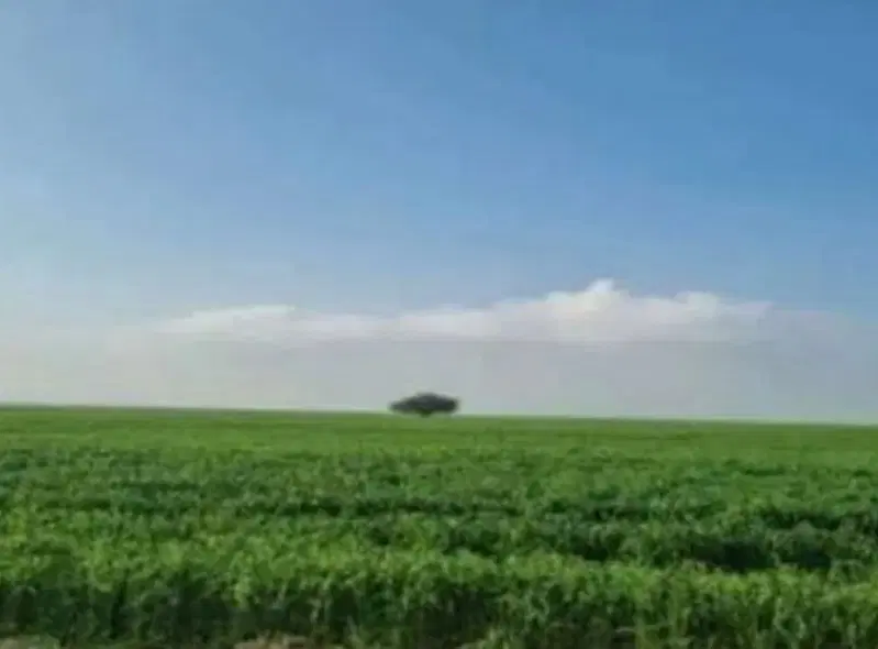 زمین