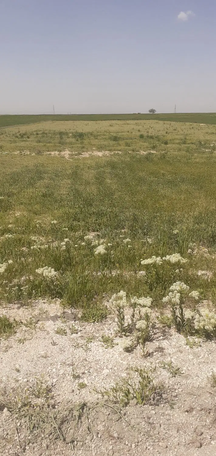 جذب سرمایه