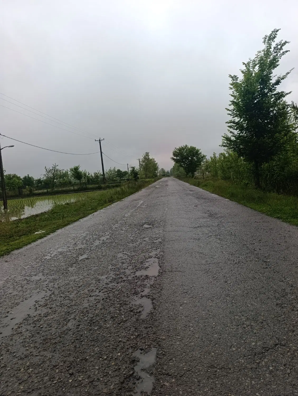 مالک هستم ۳۰۰متر سندتک برگ پروانه دارم