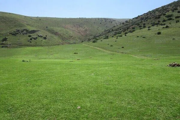 زمین کشاورزی