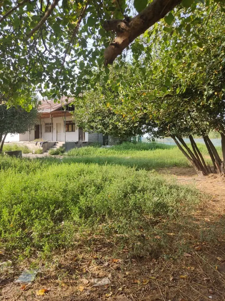 زمین در انزلی