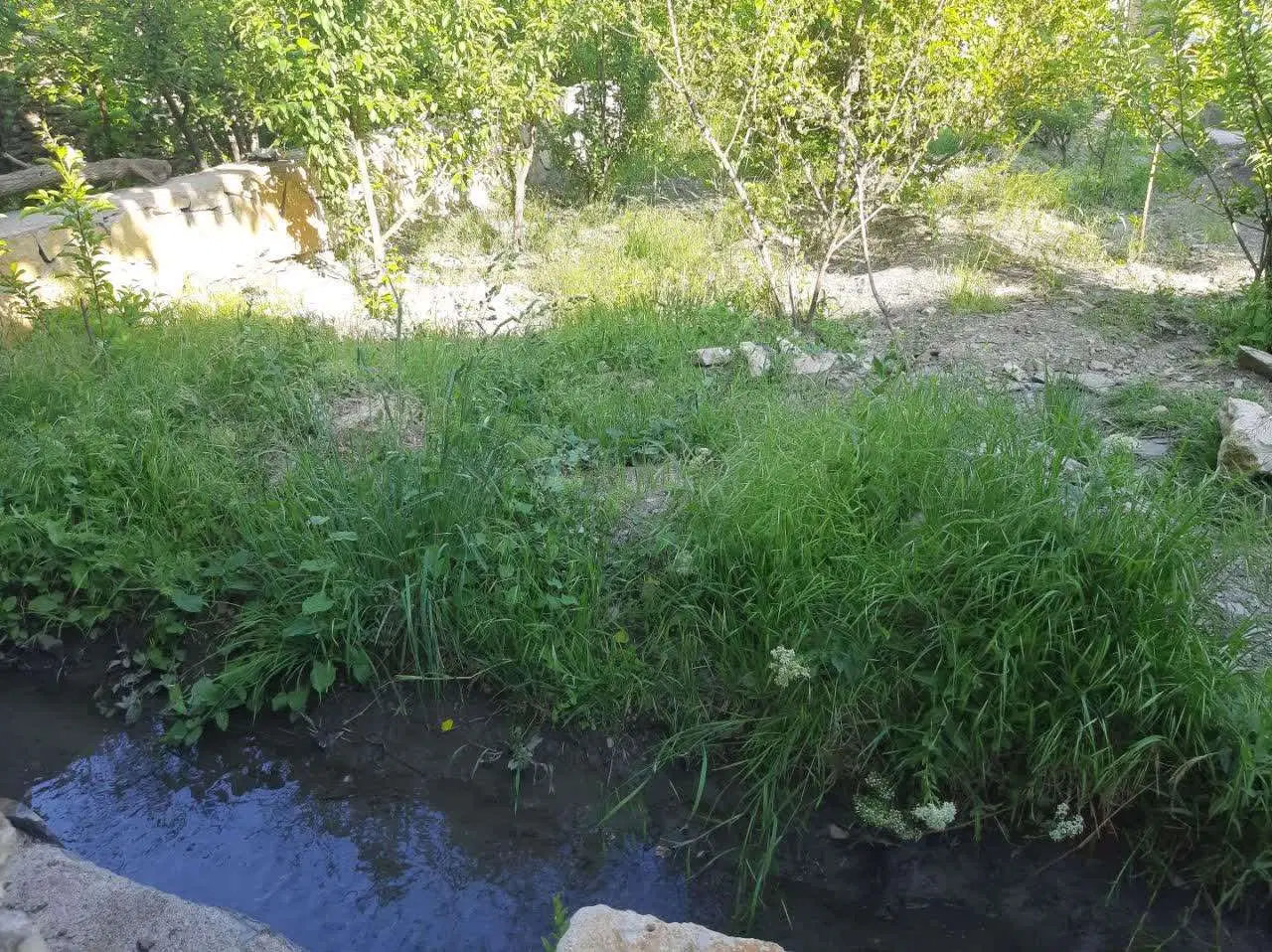 باغ .ویلا.زمین در ابرده (سوزن دره)