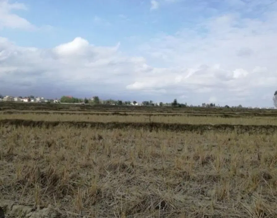 زمین باغی با سند تک برگ