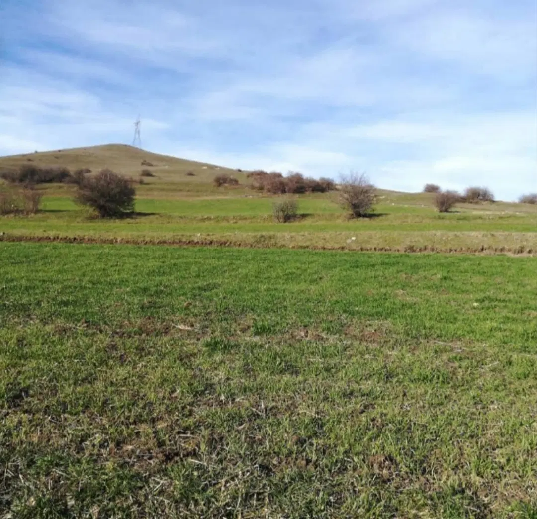 فروش ‌زمین کشاورزی در نمین روستای خانقاه علیا