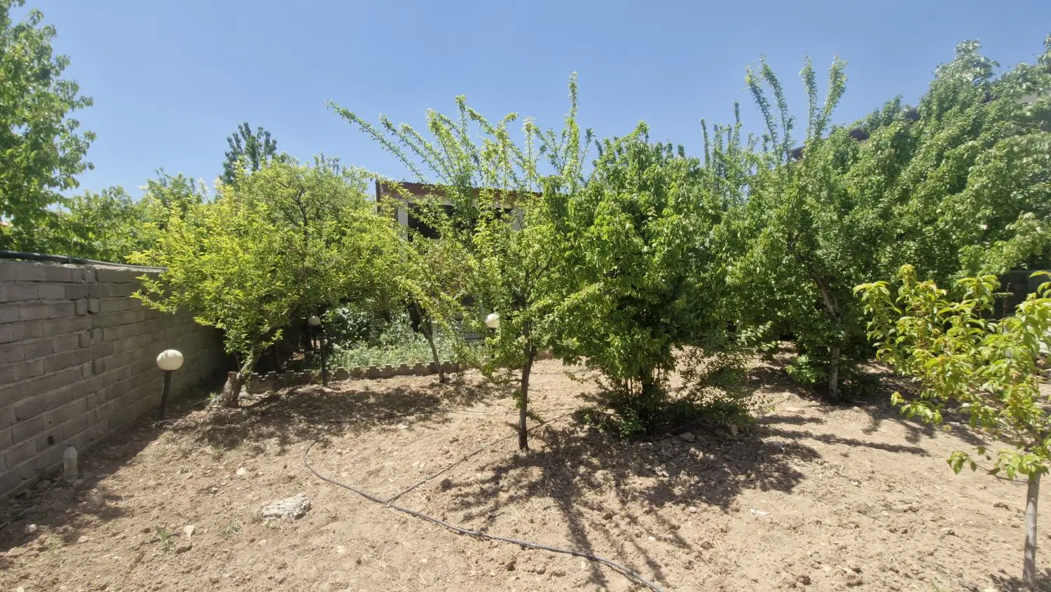 ویلا جابان