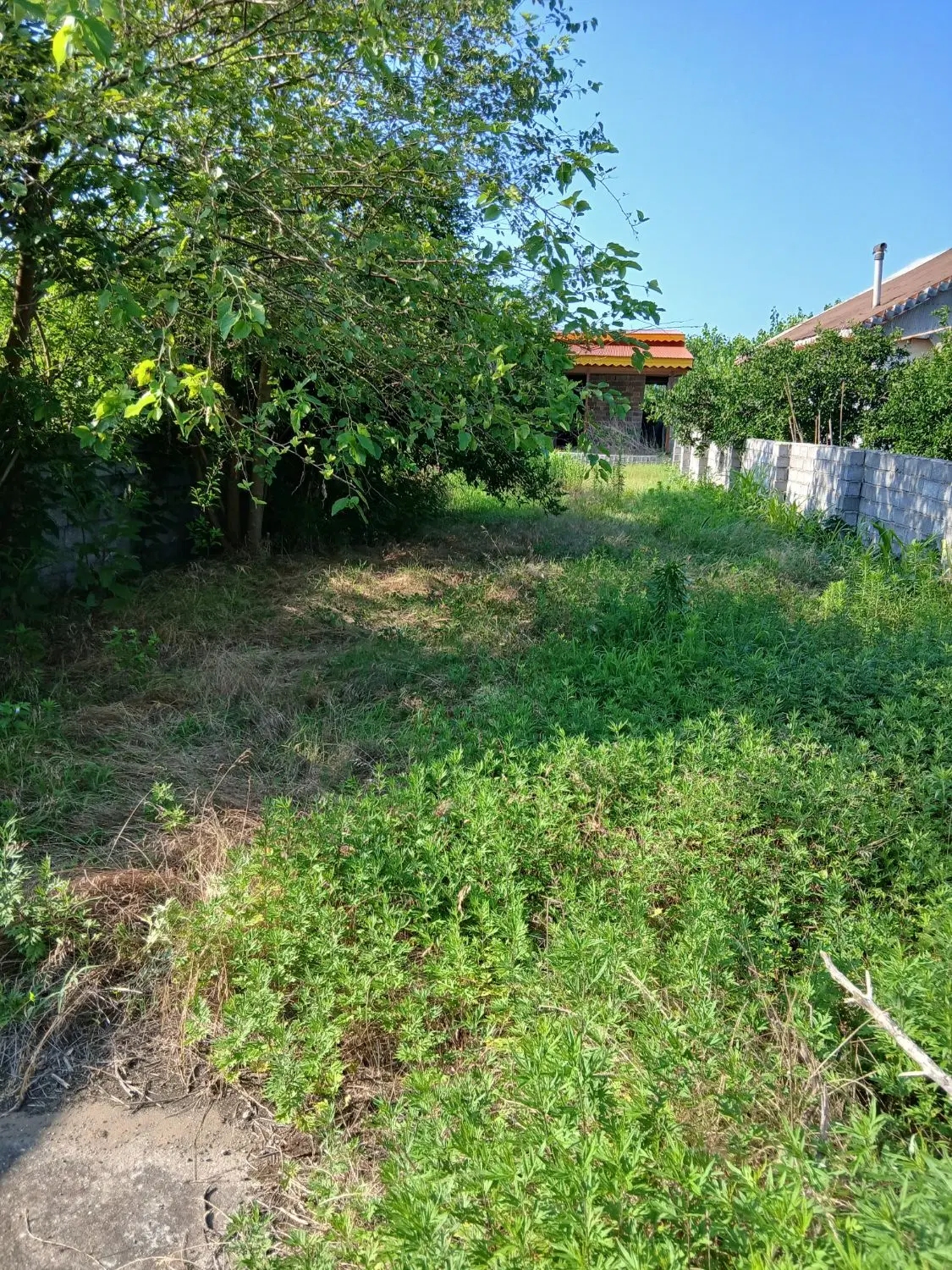 زمین با بنای نیمه ساخت_کیاشهر_روستای ساحلی دستک