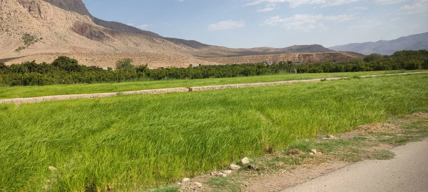 فروش زمین باغی سعادت شهر