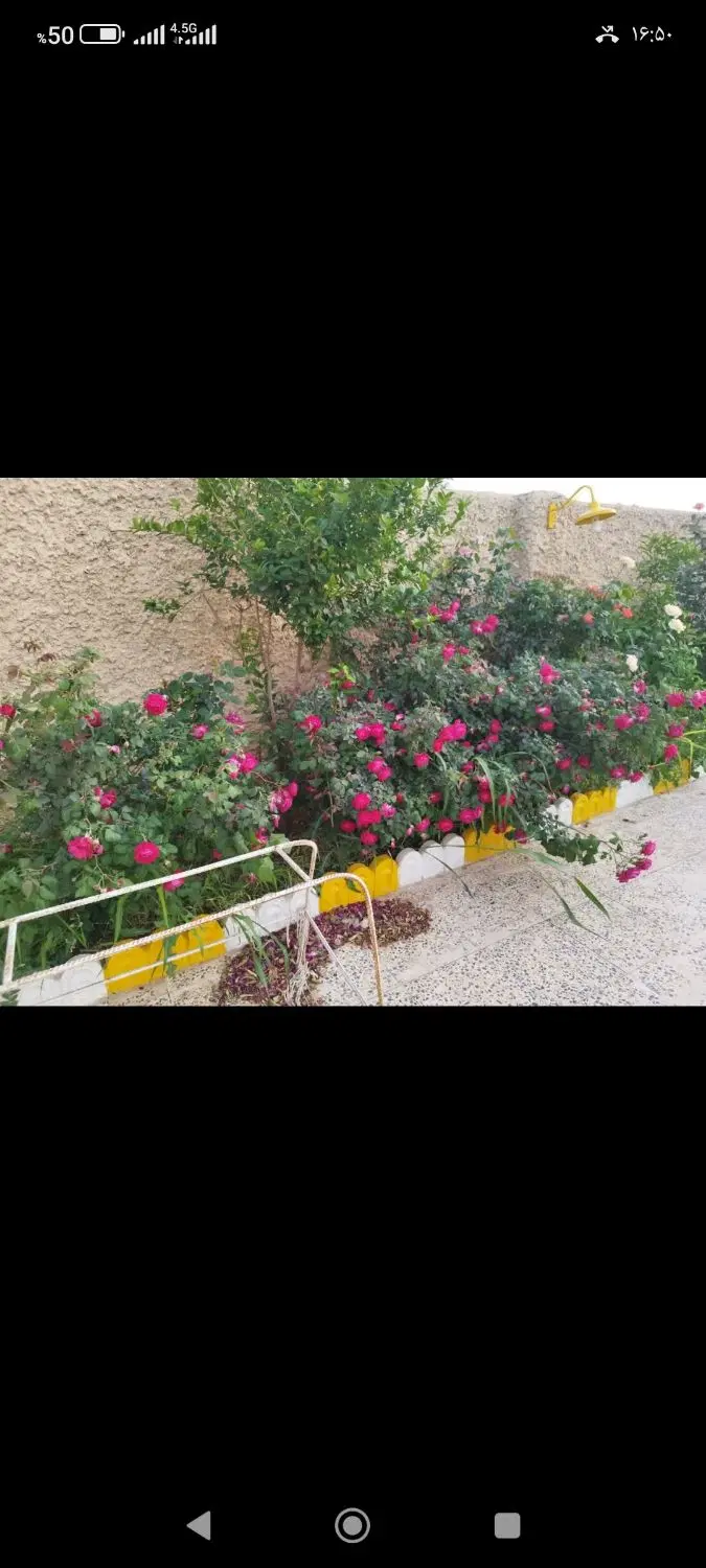 منزل ویلایی واقع در شهیون