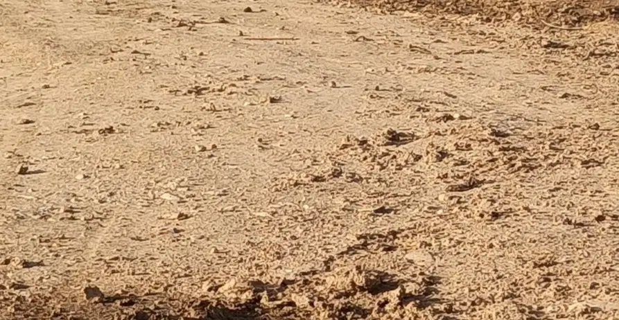 زمین 150متری کوی آزادی