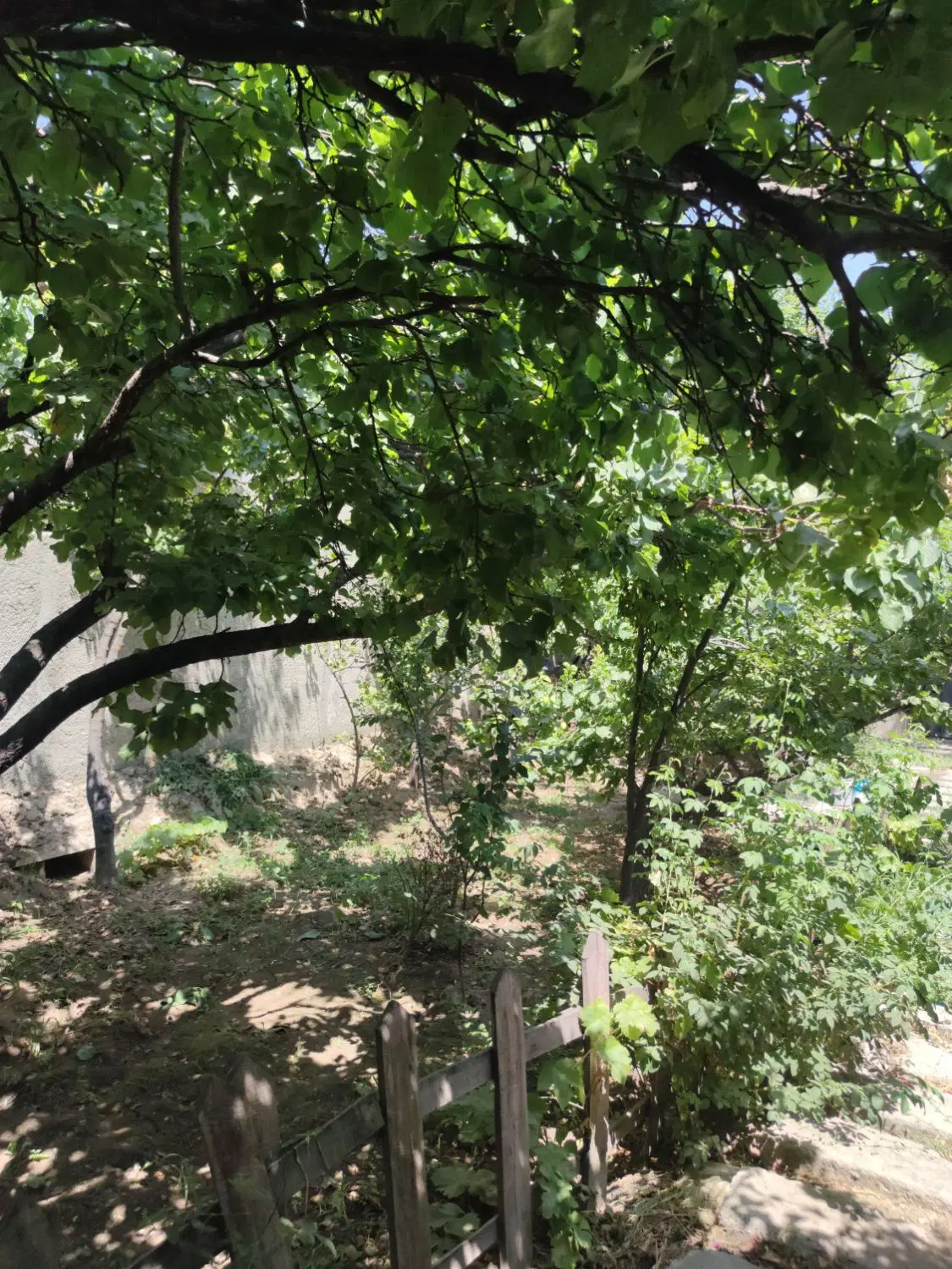 باغچه ۲۰۰ متری