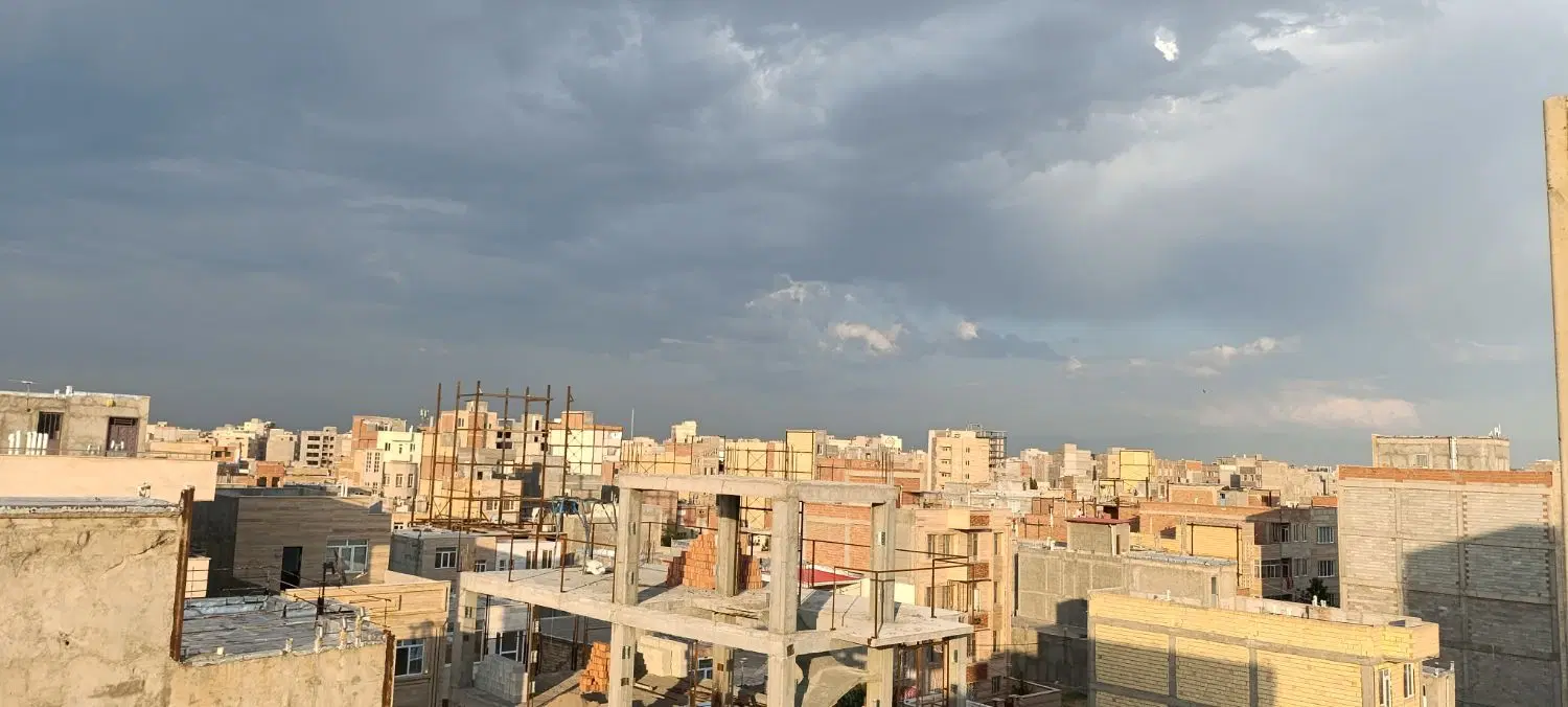 واحد کارشناسان نیلوفر
