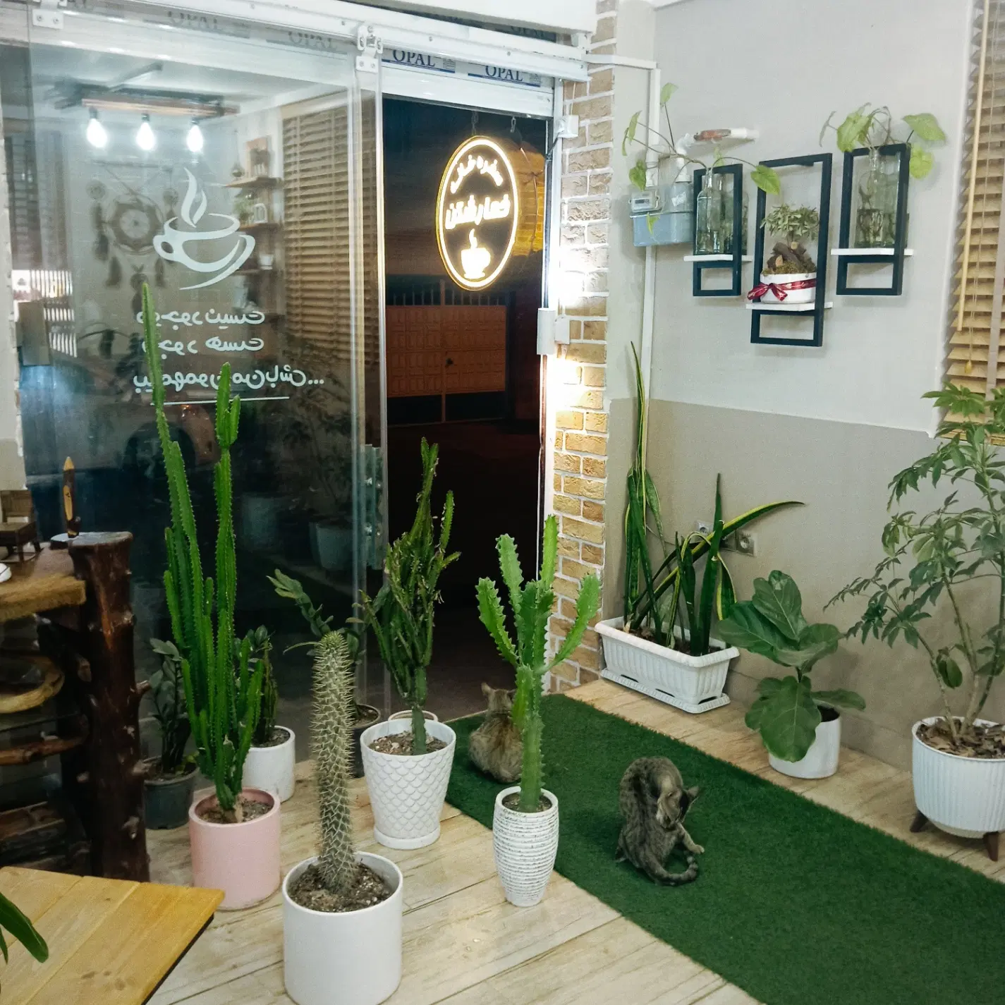 کافه اجاره ای در ملل نبش آلوچه باغ ۱۰
