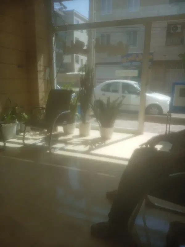 پیش فروش