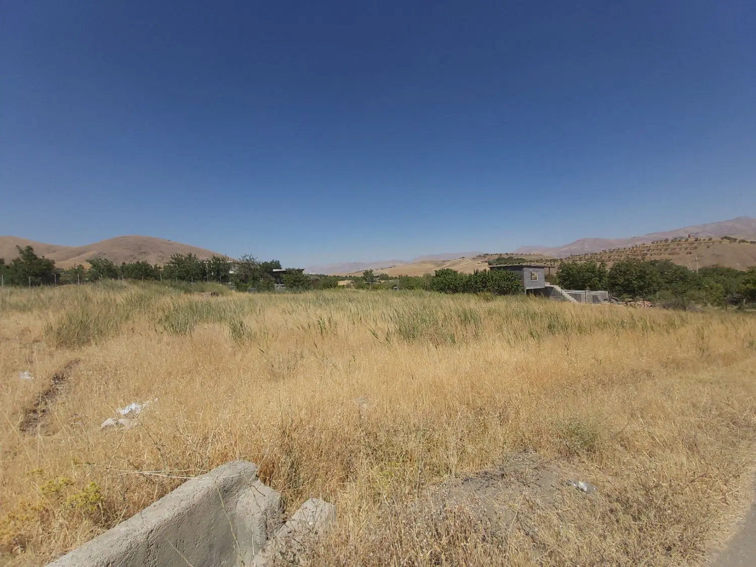 زمین کشاورزی )باغ(
