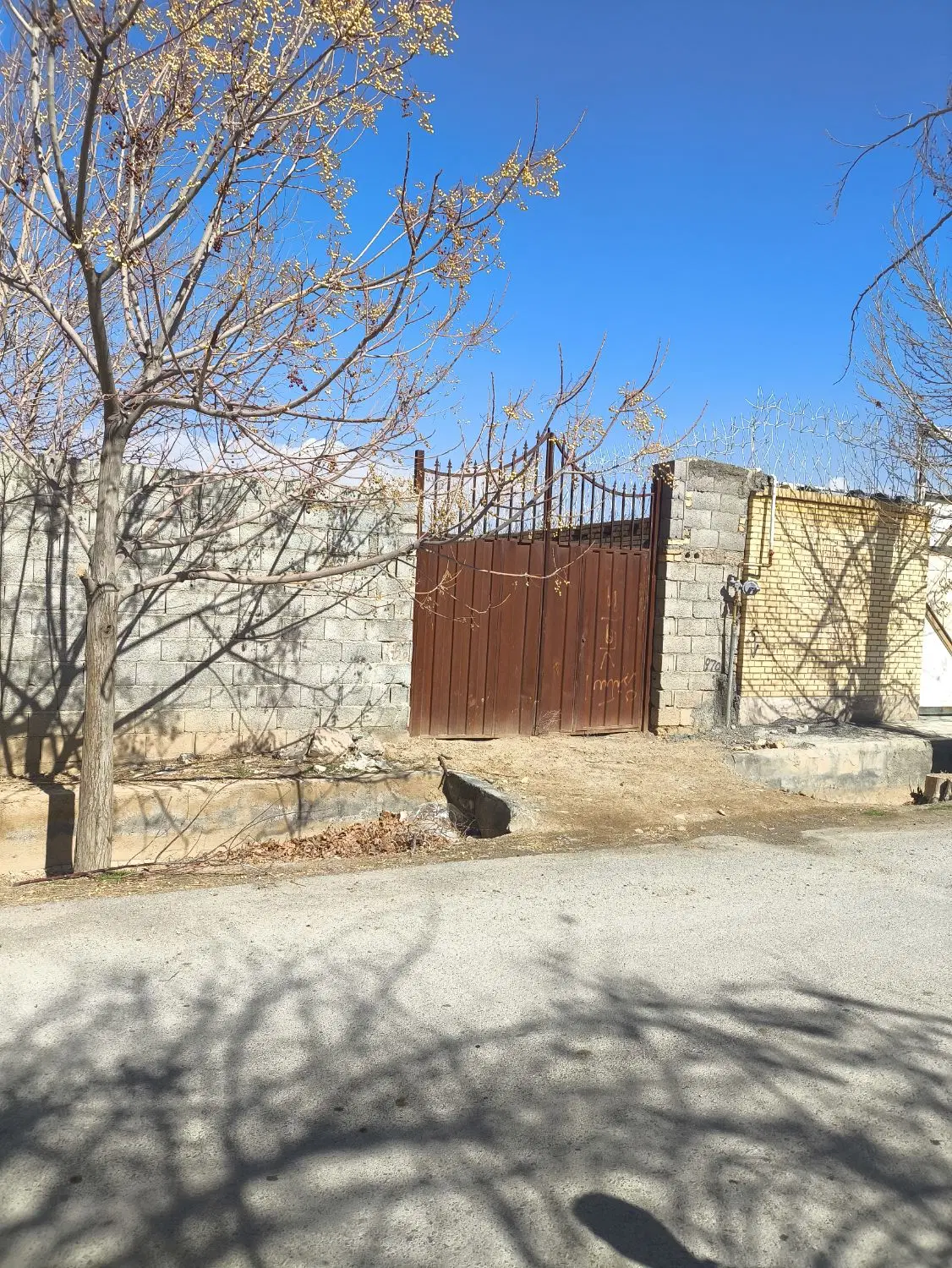 زمین باغی گلدشت سند تک برگ
