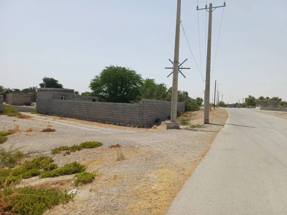 فروش زمین با موقعیت خوب روستای سیدآباد بخش تخت