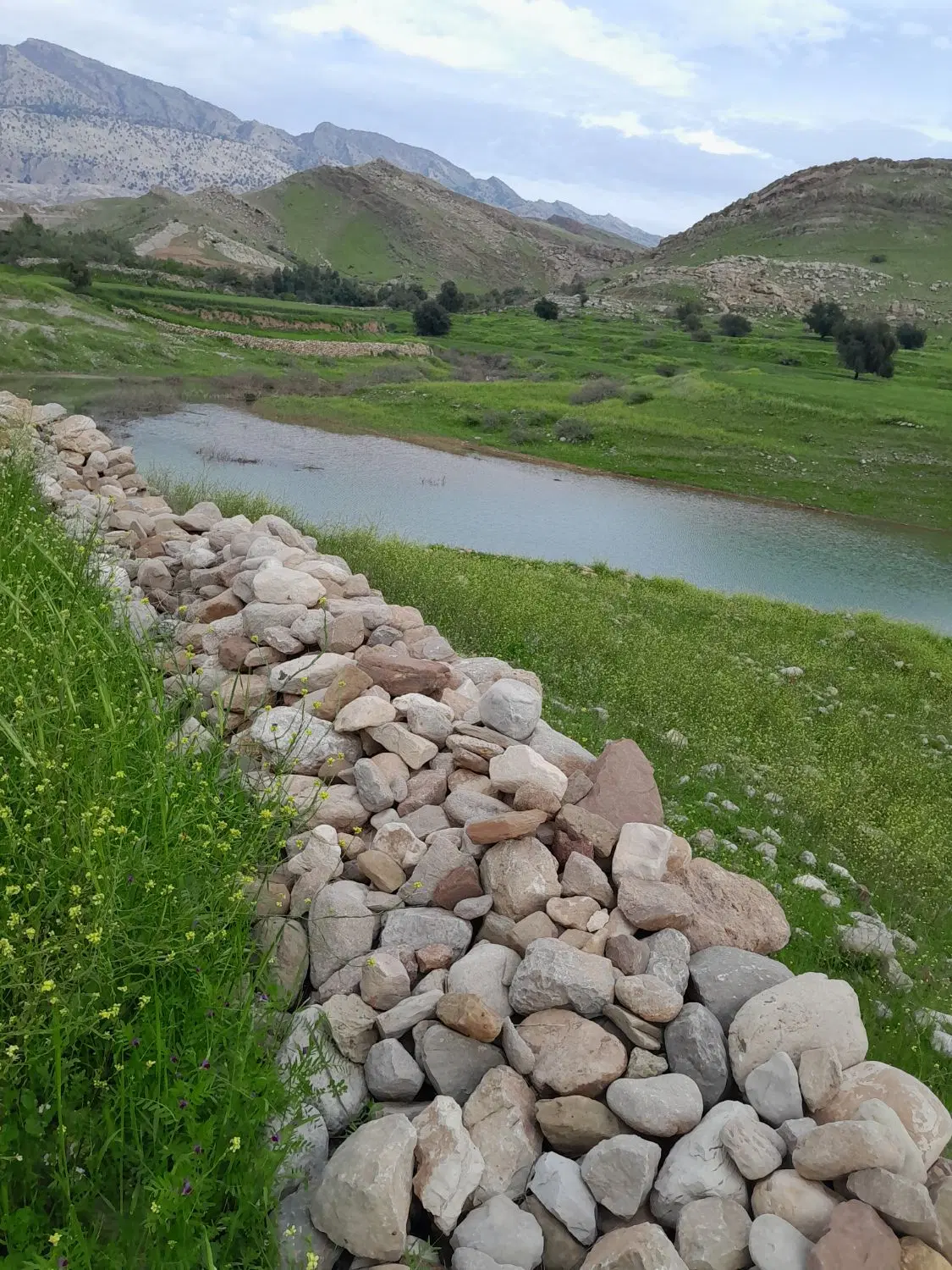 زمین کشاورزی باغی سند ثبتی با قیمت مناسب فروشی