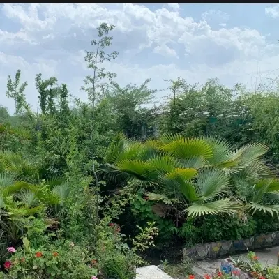 فروش فوری زمین مناسب سرمایه‌گذاری و ساخت