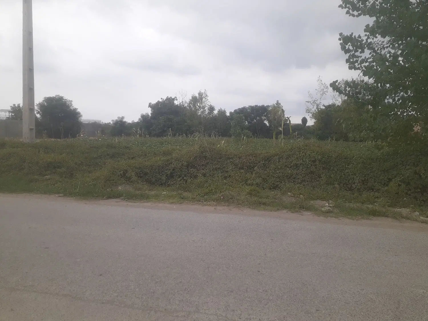 زمین داخل محله روستای چهارده