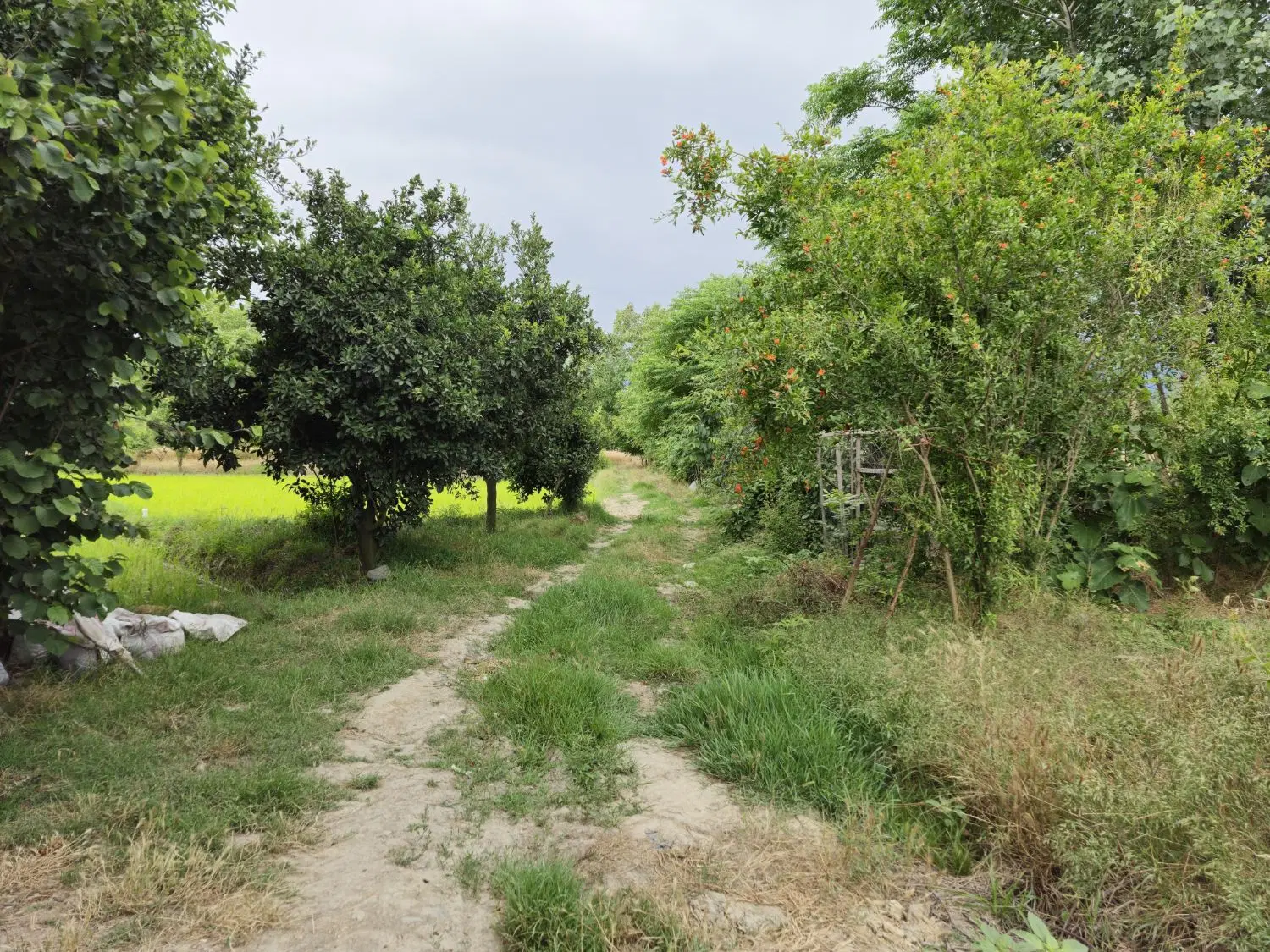 زمین داخل بافت روستایی نامن