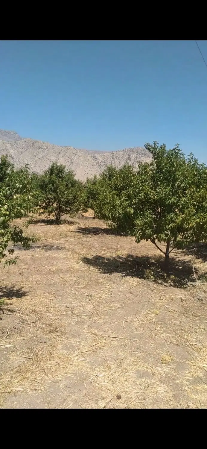 باغ و زمین کشاورزی