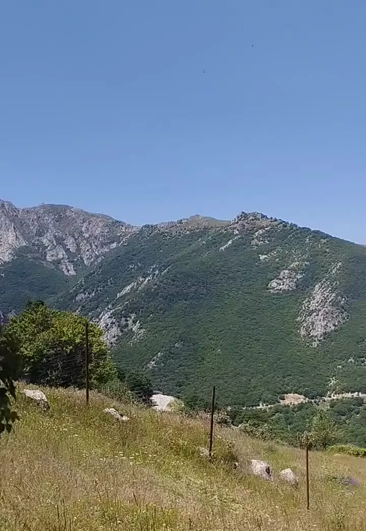 زمین ویلایی