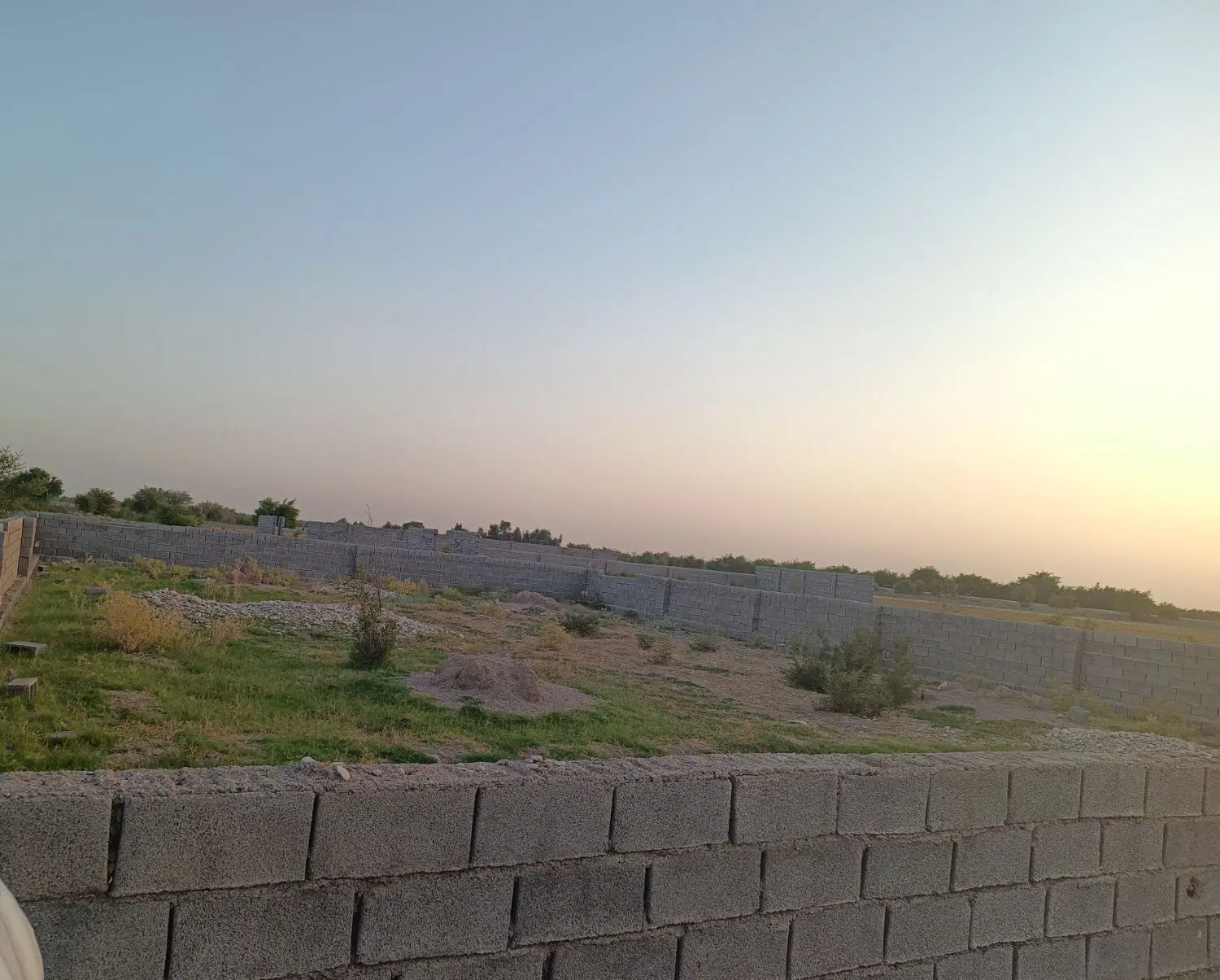 زمین باغی بنجفر