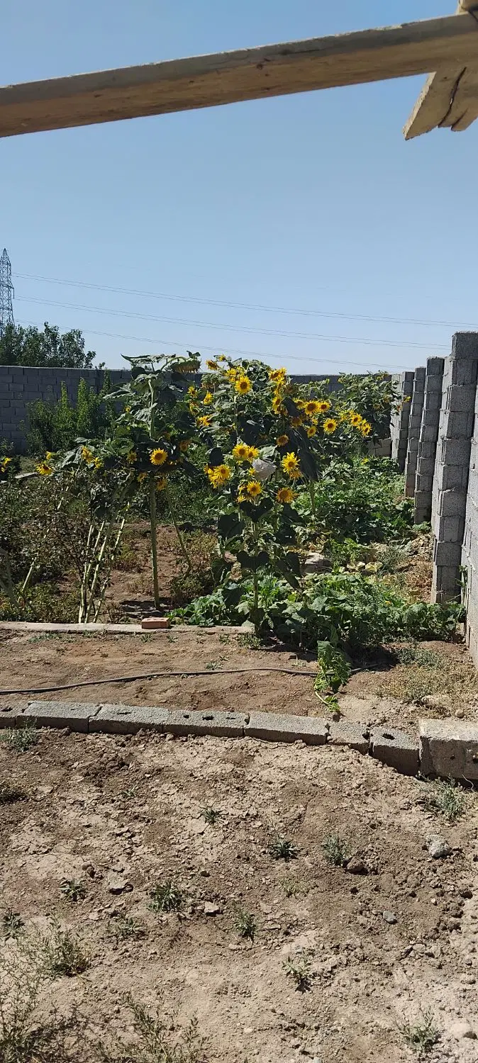باغ زمین ویلا