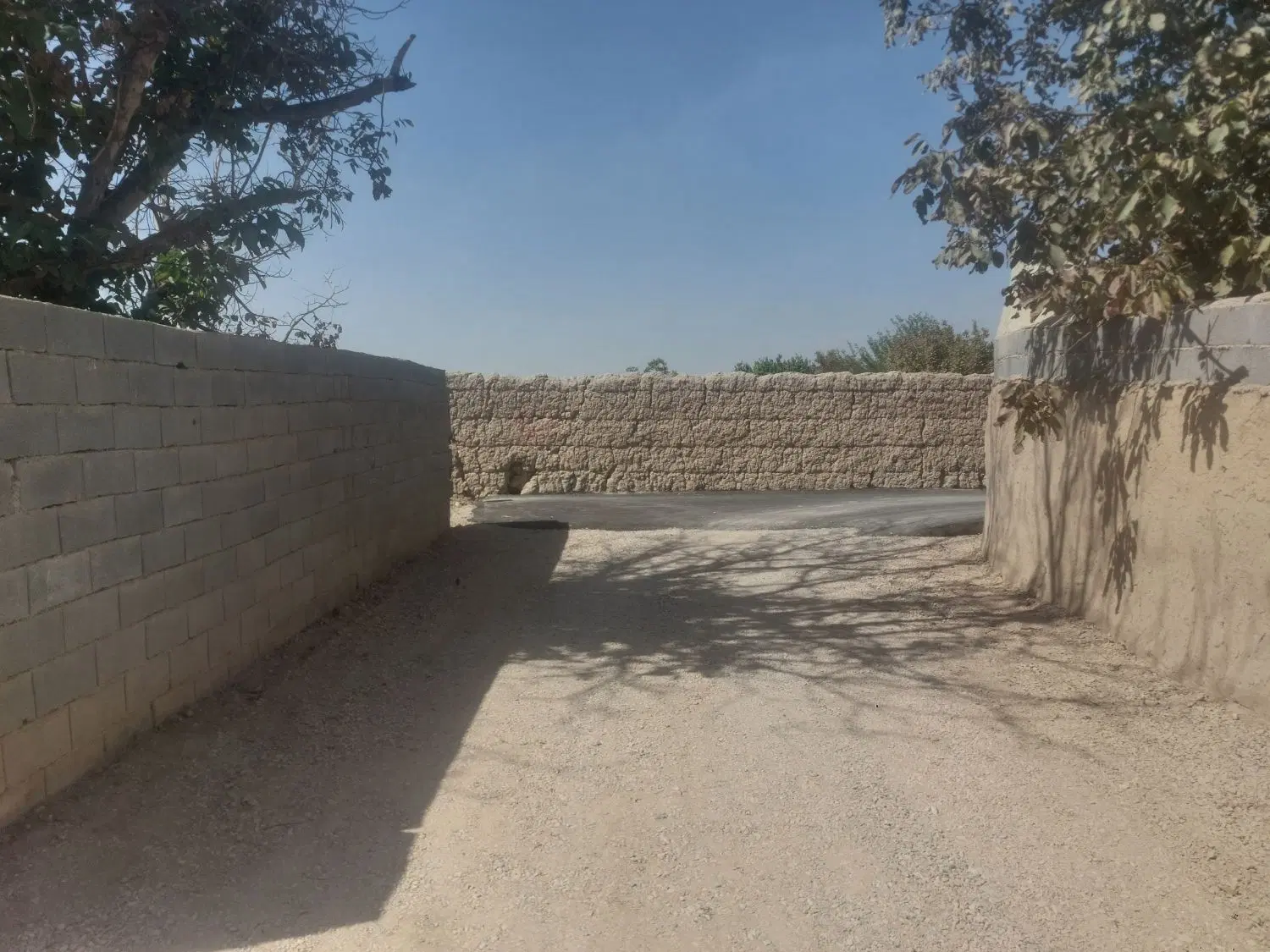 فروش باغ درختان گردو