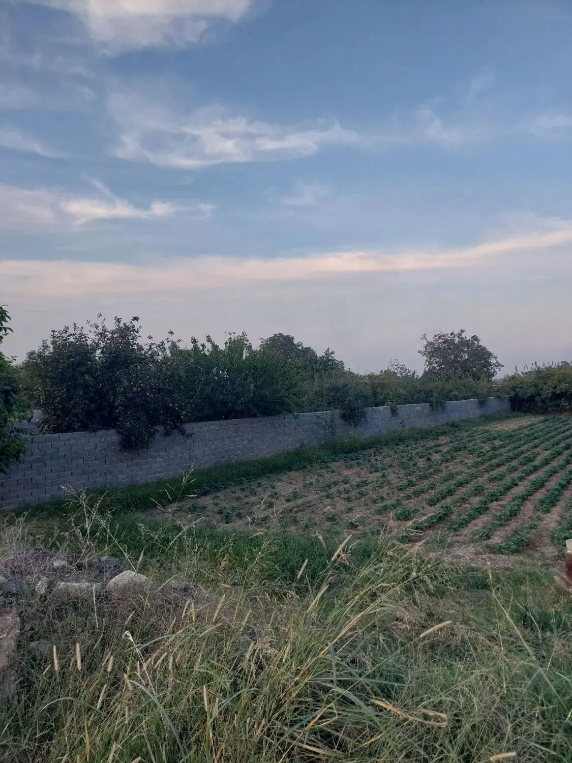زمین واقع در روستای دودانگه