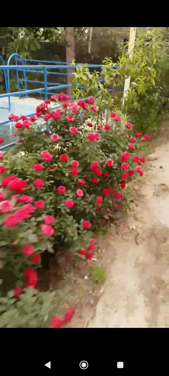 ۹۰۰متر باغ شاهنامه۳۶