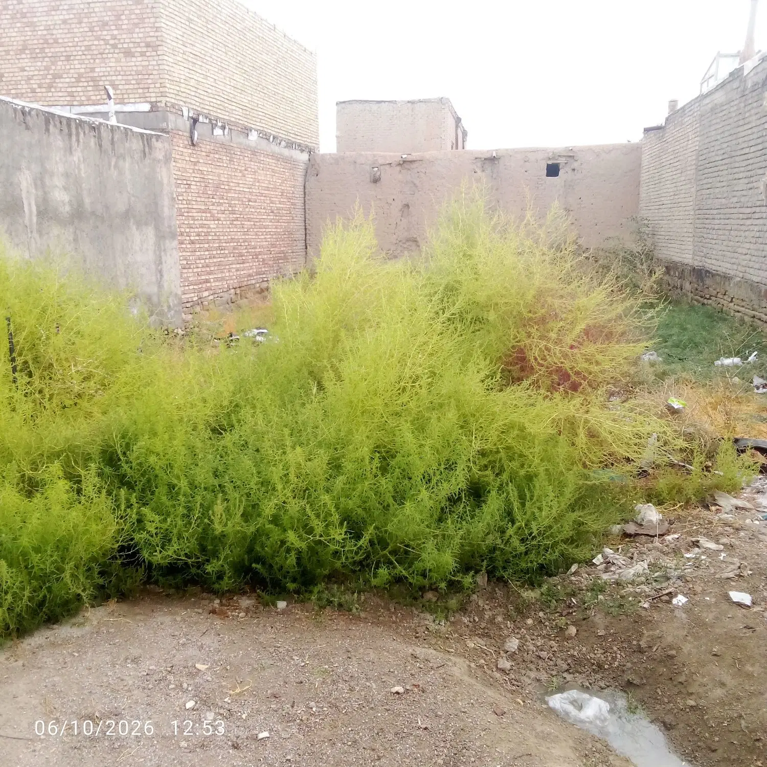 فروش زمین