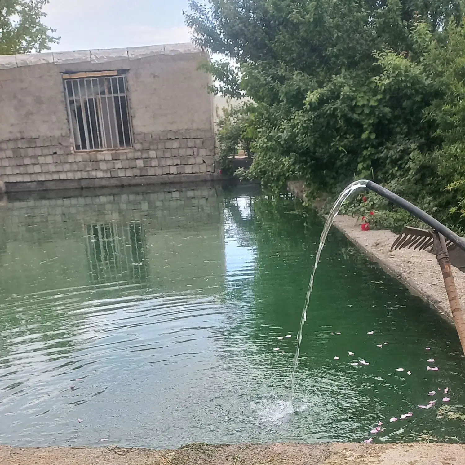 باغ و خانه باغ