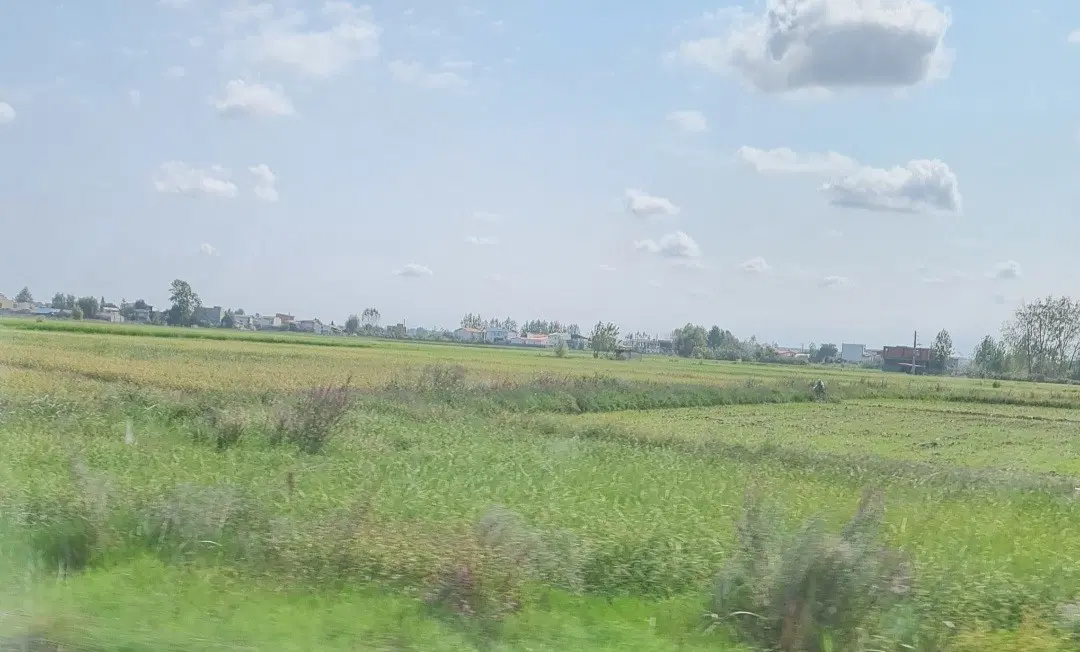 زمین کشاورزی، ۲۰۰۰ متر، نبش خیابان اصلی