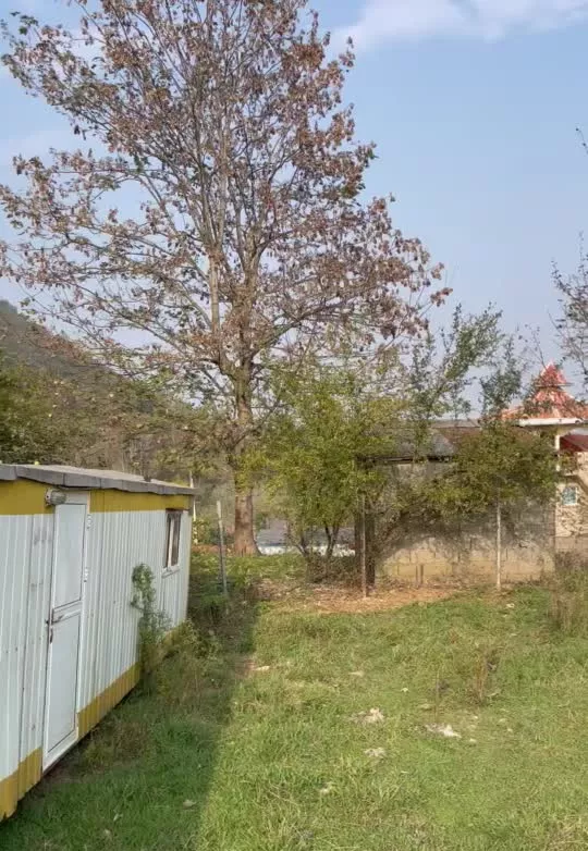 زمین مسکونی بام سبز ماسال