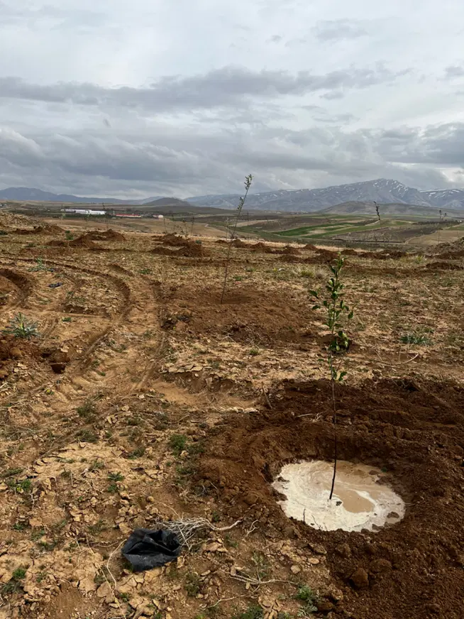 فروش باغ انگور در شیراز
