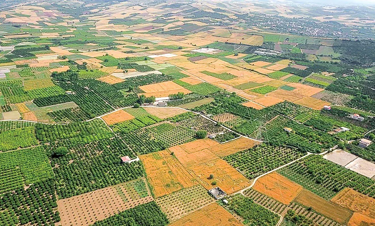 زمین کشاورزی