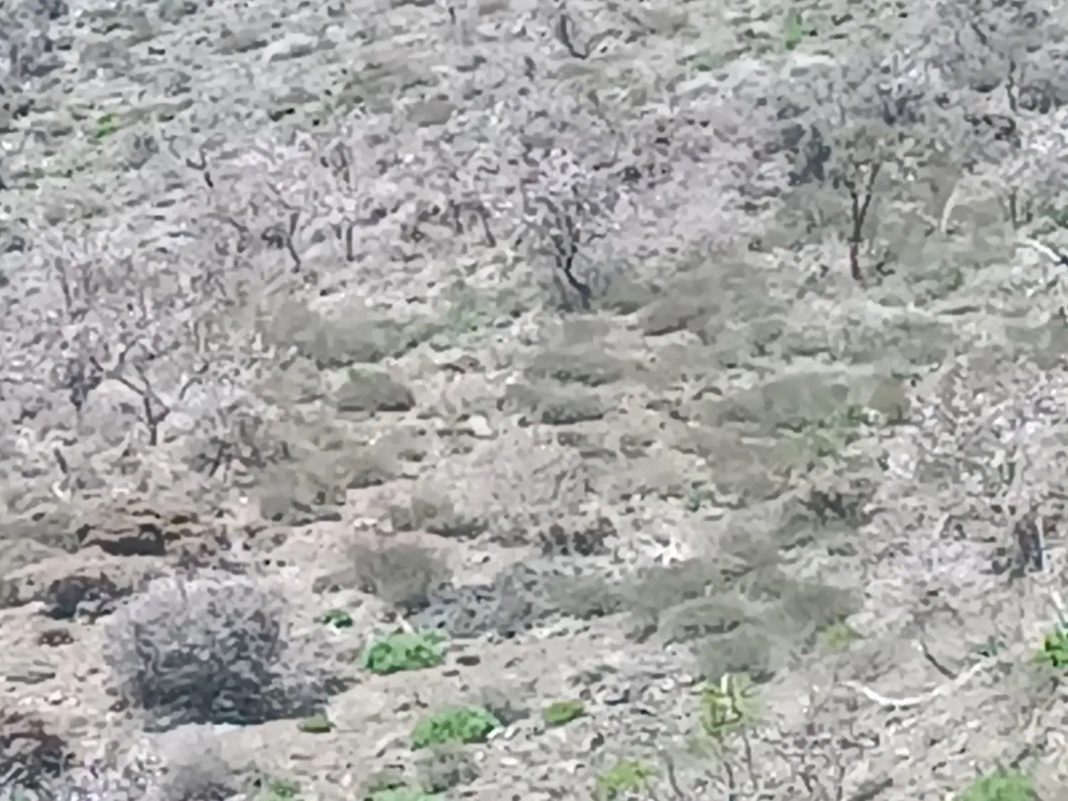 فروش زمین آباده