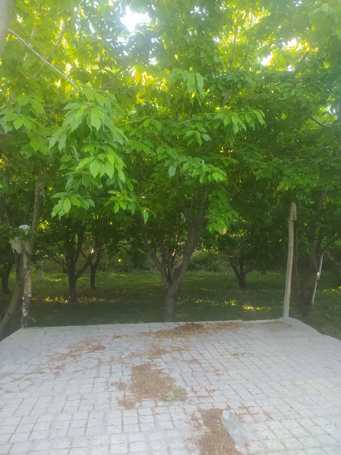فروش باغ ویلایی حاشیه زایندرود