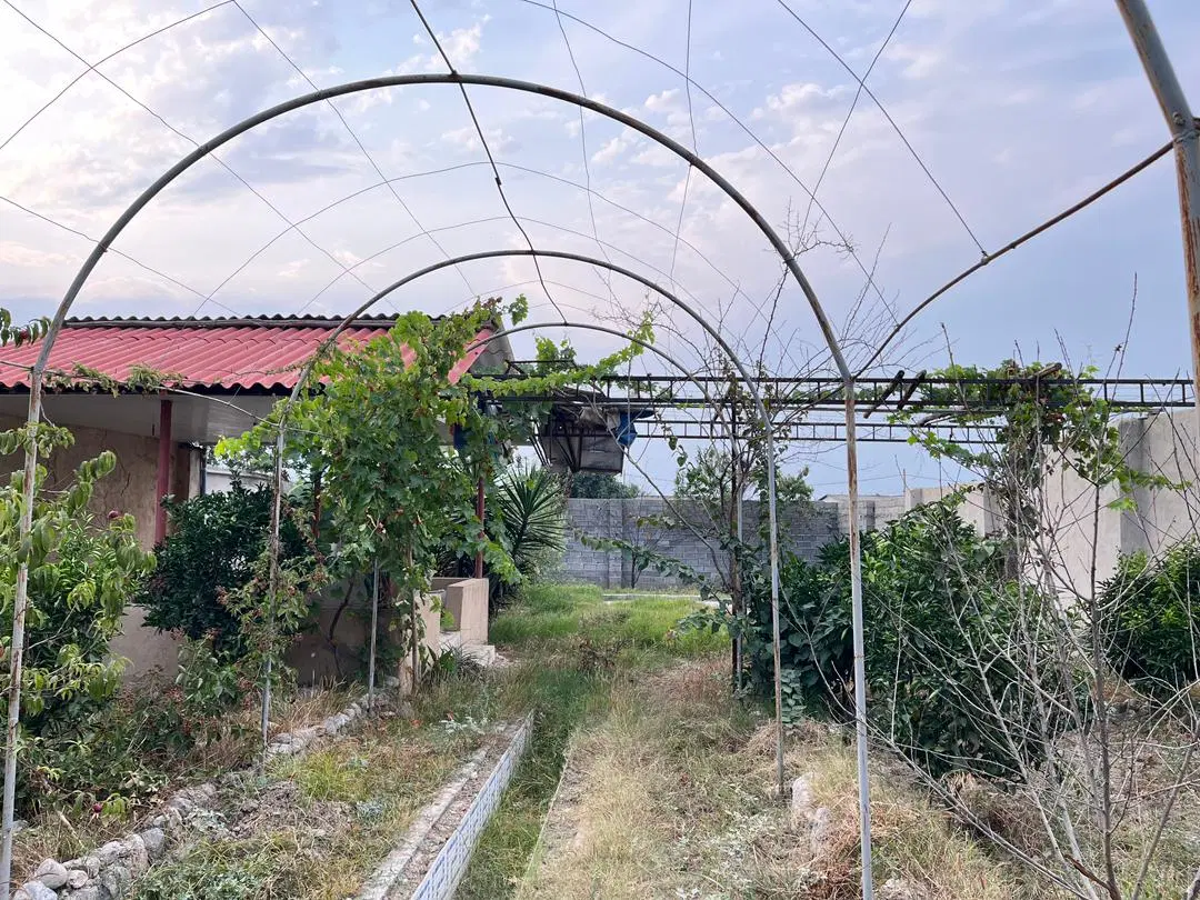 فروش زمین باغ