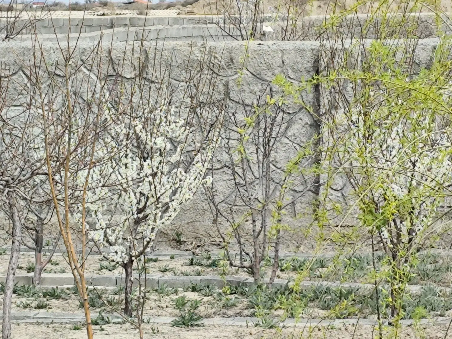 فروش باغ ویلا