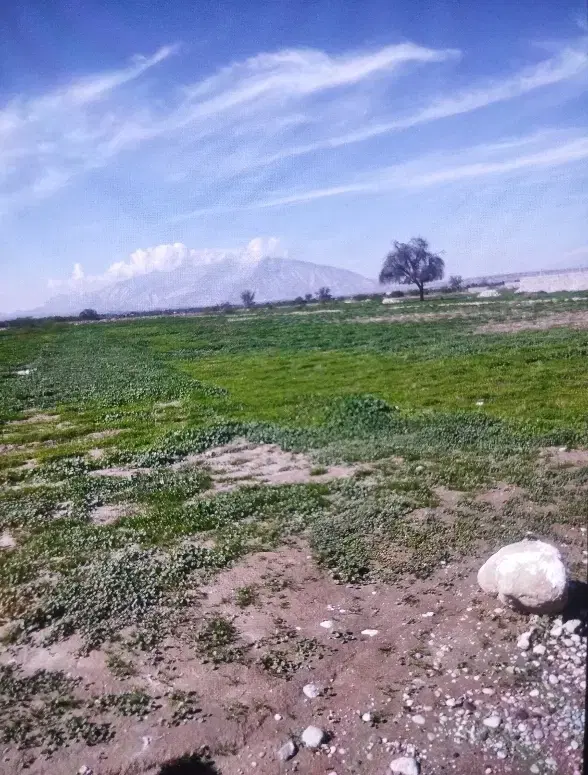 زمین سرخون سنددار کلودنگی