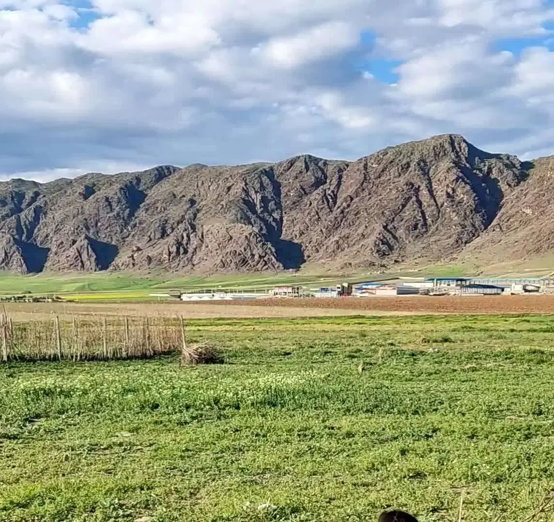 زمین باغی 1000 متری، آغوش طبیعت در دستان شما