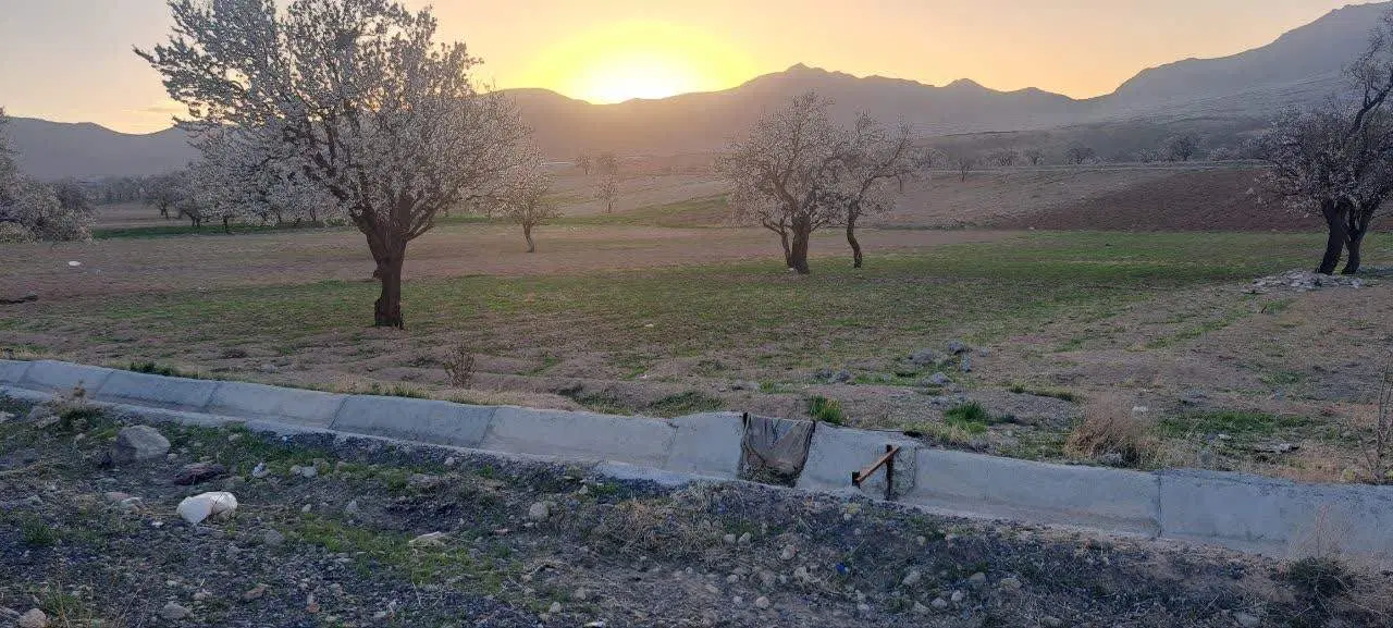 زمین کشاورزی فروشی