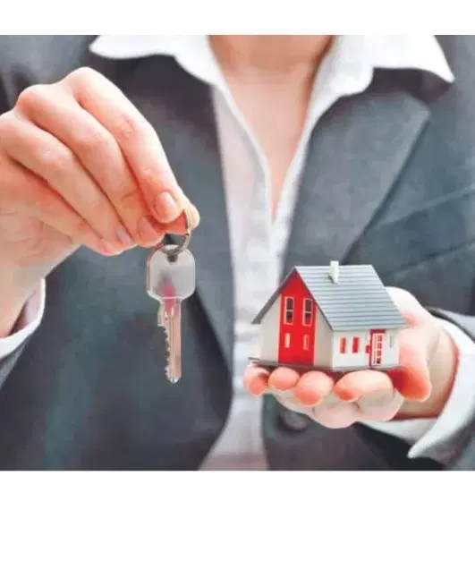 زمین مناسب کشاورزی و سرمایه گذاری