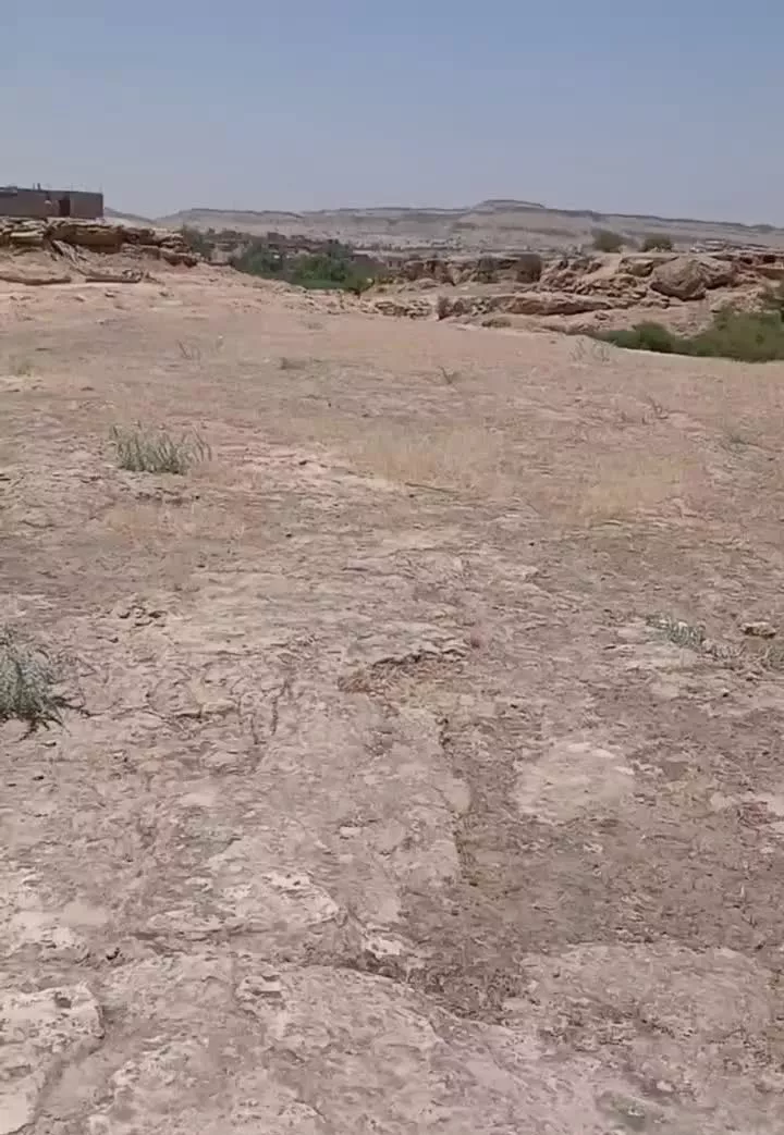 2000متر زمین صاحب زمان