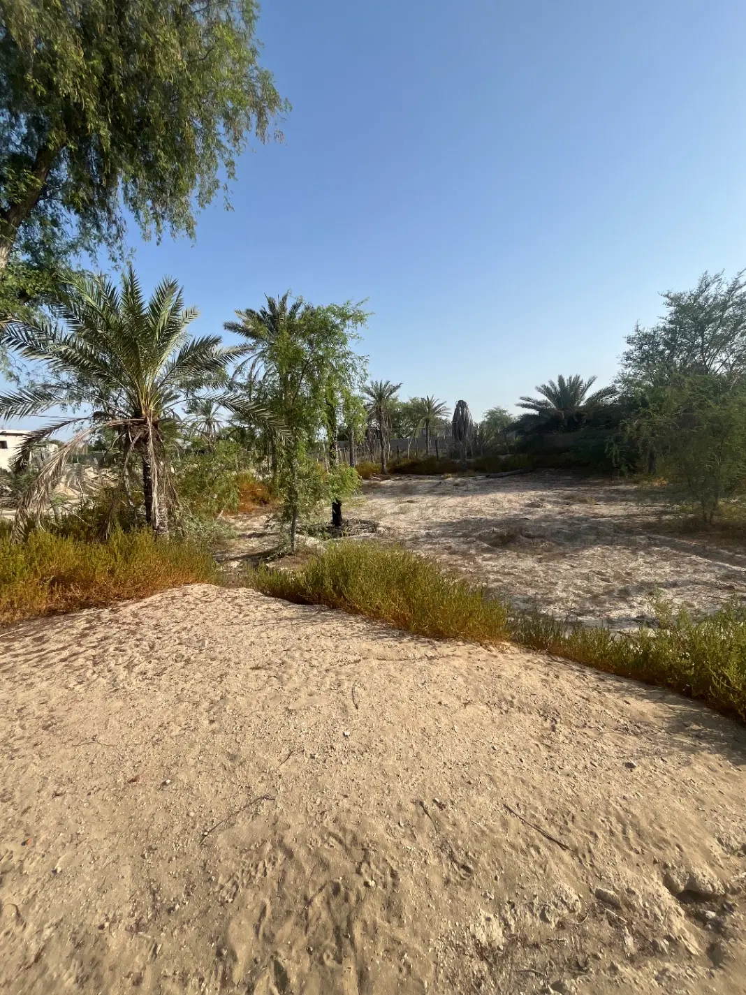 زمین در روستای تم‌سنتی