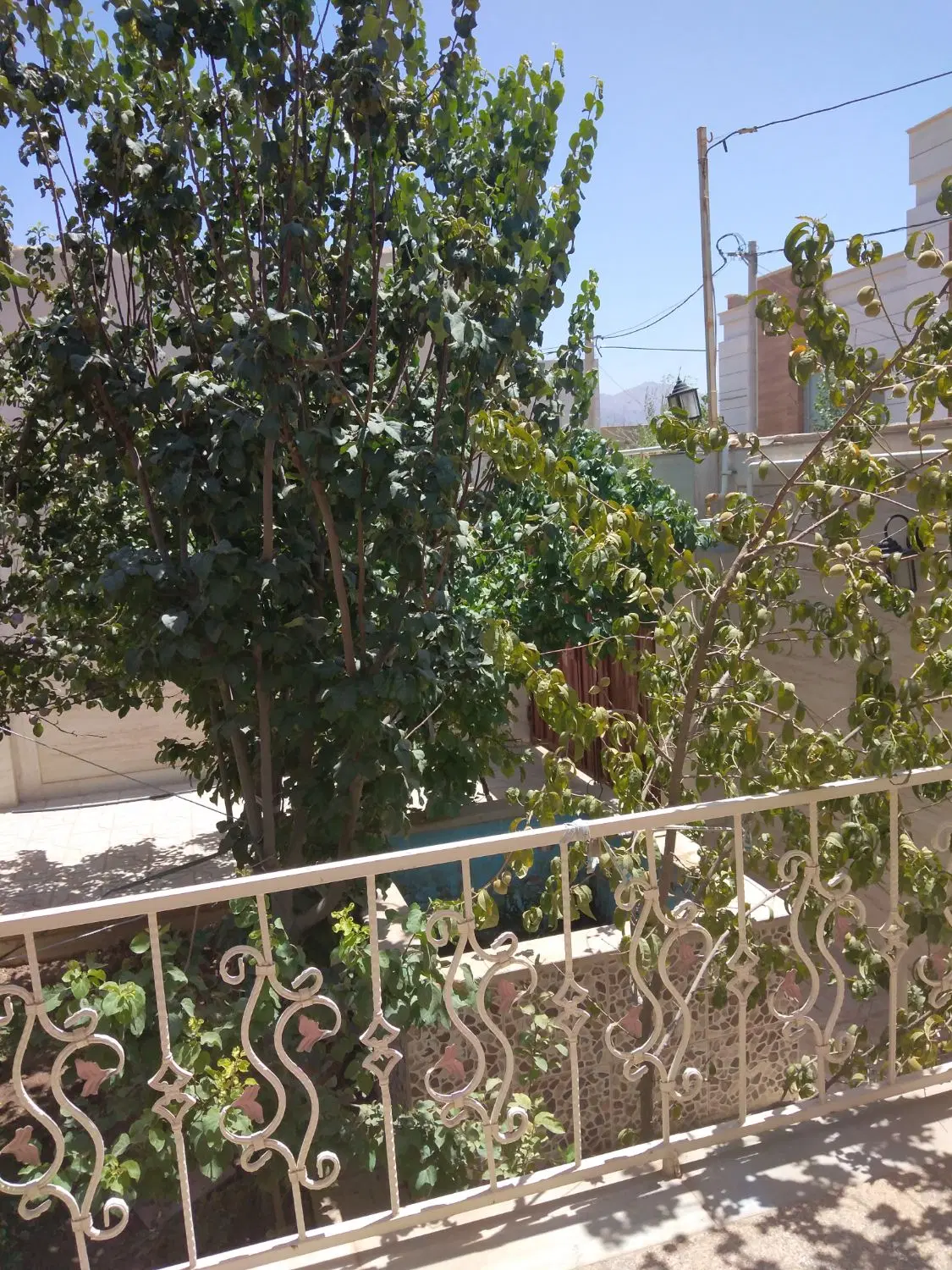 خانه باغ دونبش مزرعه آخوند