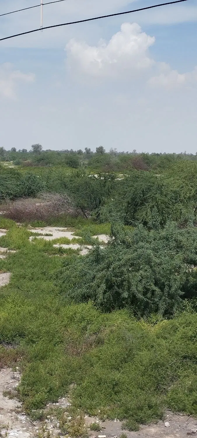 فروش زمین یک هکتاری